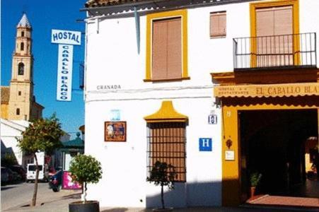 Hostal El Caballo Blanco Osuna Esterno foto